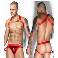 RED HARNESS SET WITH CHUNKY CHAIN