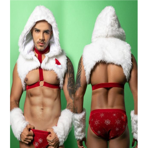 CHRISTMAS FUR HOODIE HARNESS AND JOCKS