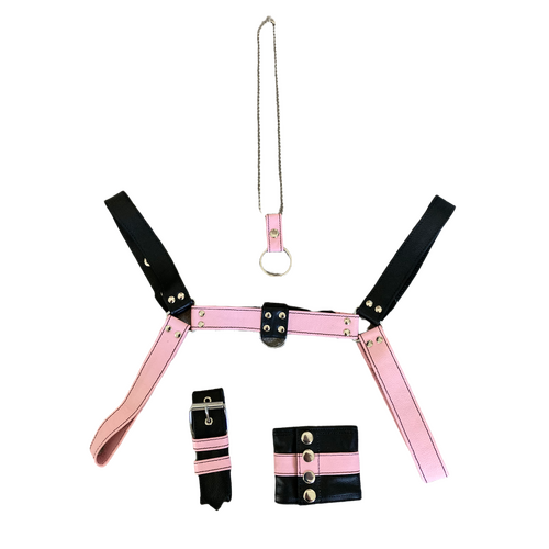 MENS LEATHER HARNESS SET MEDIUM BLACK-PINK