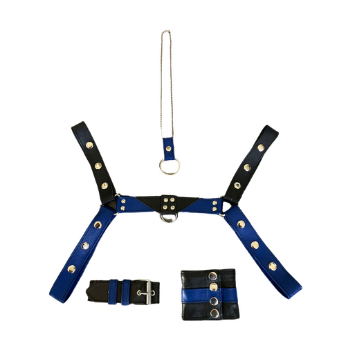 MENS LEATHER HARNESS SET MEDIUM BLACK-BLUE